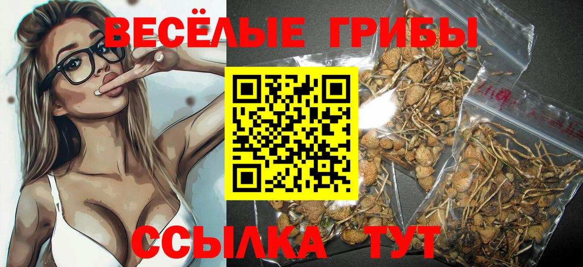 Галлюциногенные грибы мицелий Губаха